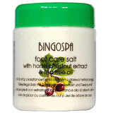 Bingospa, sel pour les pieds à l'extrait de marron d'Inde et à l'huile d'arbre à thé, 550 g