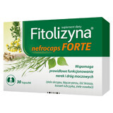 Phytolysin Nefrocaps Forte, 30 gélules