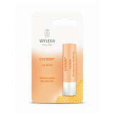 Weleda, baume à lèvres hydratant et protecteur, 4.8 g