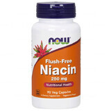 Now Foods Flush-Free Niacin, niacine 250 mg, 90 gélules