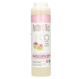 Anthyllis EcoBio, shampooing pour cheveux gras et pellicules, extrait de bardane, 250 ml