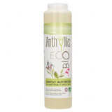 Anthyllis EcoBio, shampooing antipelliculaire pour lavages fréquents à l'extrait de sauge et d'ortie, 250 ml