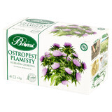 Bi Fix Thistle, herbal tea, 2 gx 20 sachets