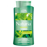 Joanna Naturia, shampooing à l'ortie et au thé vert, 500 ml