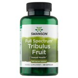 Swanson Full Spectrum Tribulus Fruit, Mace, 90 gélules