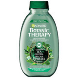 Garnier Botanic Therapy, shampooing rafraîchissant pour cheveux normaux à tendance grasse, thé vert, 400 ml