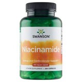 Swanson Niacinamide, niacine 250 mg, 250 gélules