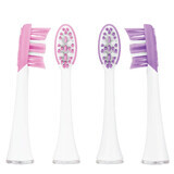 Vitammy, embouts de remplacement pour brosse à dents sonique Aurum Rose et Pearly+, 4 pièces