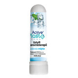 ActivePlast Aroma, bâton d'aromathérapie, menthe glaciale, 1 pièce