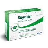 Bioscalin NovaGenina, 60 Tabletten, Nahrungsergänzungsmittel gegen Haarausfall