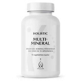 Holistic MultiMineral, 90 gélules