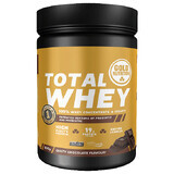 Total Whey Protéine en poudre aromatisée au chocolat, 800 g, Gold Nutrition