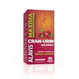 Supplément pour la protection, le confort et le fonctionnement normal du système réno-urinaire Cran-Urin Maxpac, 60 gélules végétariennes, Alavis Maxima