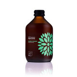 Bio Kombucha drink with Cucumber and Coriander, 330 ml, Vigo