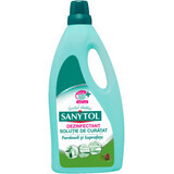 SANYTOL Solution désinfectante pour sols en pin, 1 l