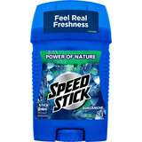 Mennen Speed Stick Deodorante solido Avalanche, 50 g