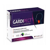 Gardipect Icelander blackcurrant-flavored, 24 tablets