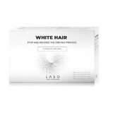 Anti-Greying Treatment for Men White Hair, 40 vials, Labo