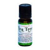Teebaum ätherisches Öl, 10 ml, Divine Star