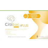 Citibac Plus pour la mémoire et la concentration, 20 ampoules, Alpha