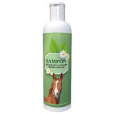 Shampoo with herbal extracts for horses, 200 ml, Pasteur