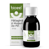 Sirop de patagine et de bourgeons de pin, 120 ml, Bioeel