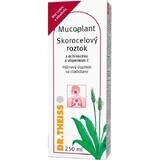 Dr. Theiss Mucoplant Cinnamon syrup with echinacea and vitamin C 320 g