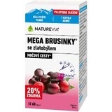 NatureVia Mega myrtilles avec verge d'or 60 pièces