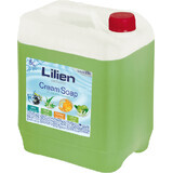 Creamy liquid soap Lilien Aloe Vera 5 l