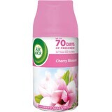 Airwick Ref Refill pour Freshmatic Cherry Blossom 250ml Diffuseur automatique Freshmatic Cherry Blossom 250ml