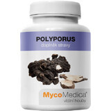 MycoMedica Polyporus 90 capsule