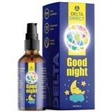 Delta Direct Good Night Liquid Melatonin mit Spender unter der Zunge Zimt 30 ml