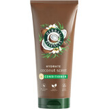 Herbal Essences Coconut Essences Coconut Scent Hydrate Nourishing and Moisturising Conditioner 250 ml