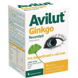 Avilut Ginkgo Recordati 90 capsule