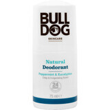 Déodorant naturel Bulldog menthe poivrée et eucalyptus 75 ml