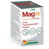 Magfit Mango-Orangen-Gel 20 Portionsbeutel