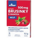 Vitar Canadian Cranberry AKUT 15 gélules