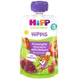 HiPP Organic HiPP BIO Hippis 100% fruit Pomme-Maline-Granate-Pomme-Acérola 100 g