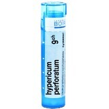 Boiron Hypericum Perforatum CH9 granulé 4 g