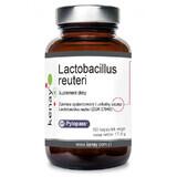 Lactobacillus reuter Pylopass 60 gélules Kenay