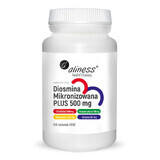 Diosmine micronisée PLUS 500 mg (100 comprimés) Aliness