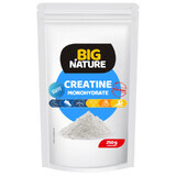 Créatine monohydrate 250 g Big Nature