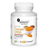 Curcumine 3 PLUS Curcuma longa 500 mg Pipérine 1 mg 60 gélules Aliness