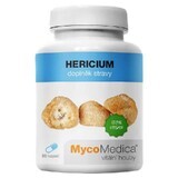 Hericium (coneflower) 30% polysaccharide 90 gélules MycoMedica