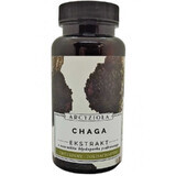 Chaga 50g Archangelis Roxanthus et amis