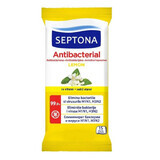 Lingettes humides antibactériennes au citron 15 pièces, 15 pièces, Septona