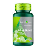 Berbérine, 500 mg, 90 gélules, Adams Supplements