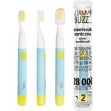 Vitammy Buzz Brosse à dents sonique avec 28 000 micromouvements, 2 programmes de nettoyage, Menthe/Citron 1×1 pc, brosse à dents électrique