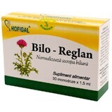 Bilo-reglan, 30 monodoses, Hofigal