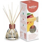 Bolsius Aromatic 2.0 Diffuser 45 ml Magnolia 1×45 ml, aromatic diffuser